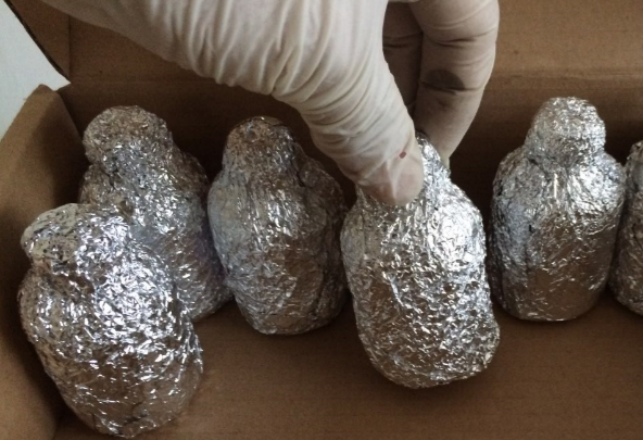 治癌藥物避光冷鏈運送到孟加拉國，負重致遠，得一絕不含糊！